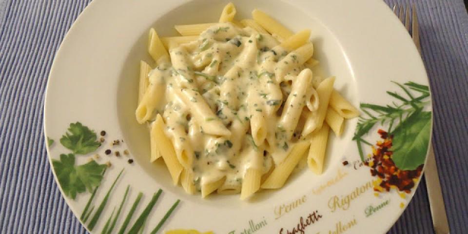 Pasta with Cheese Sauce